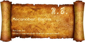 Mecsnober Barna névjegykártya