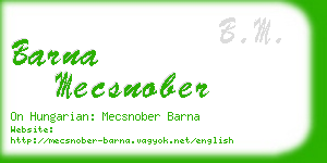 barna mecsnober business card